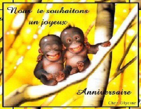 les 2 pti singes !!!